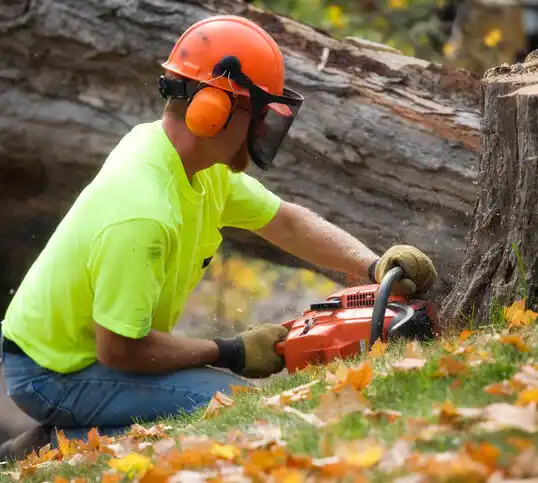 tree services Moriches